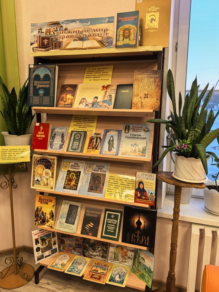 20250311_17.jpg 20250311_17.jpg