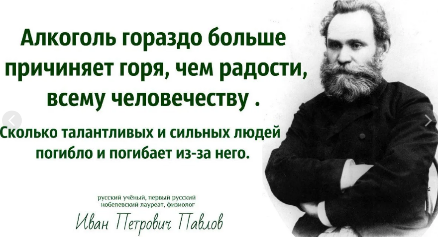 цитата об алкоголе 1.png