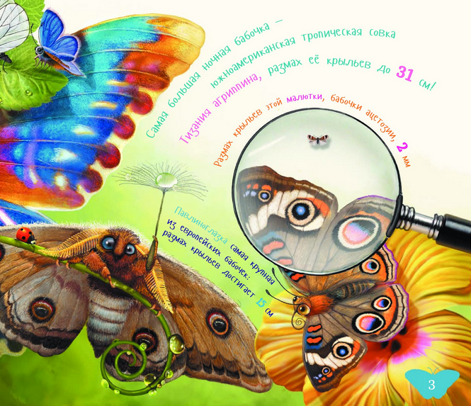 Я бабочка.png