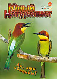 Без названия (1).jpg