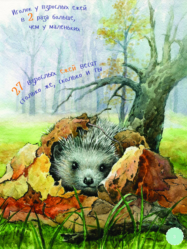 Я ёж.png