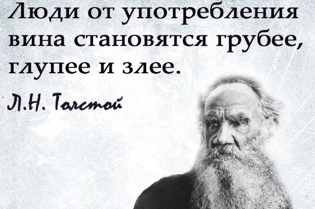цитата об алкоголе 2.png